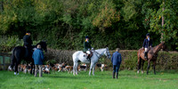 RossH041025-9