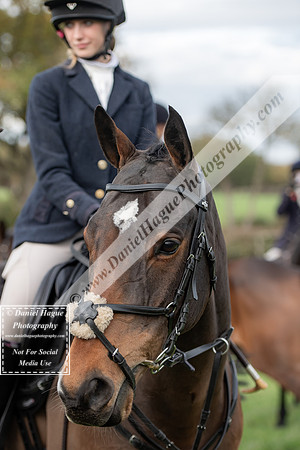 VWH051125-005