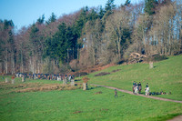 RossH311225-005