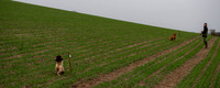 Aldbourne270126-015