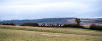 CotswoldScurry26-001
