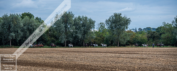 VWH140923-4