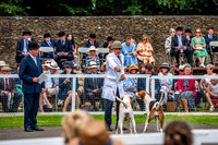 Puppy Show '23