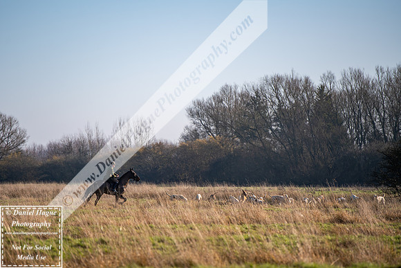 VWH060225-011
