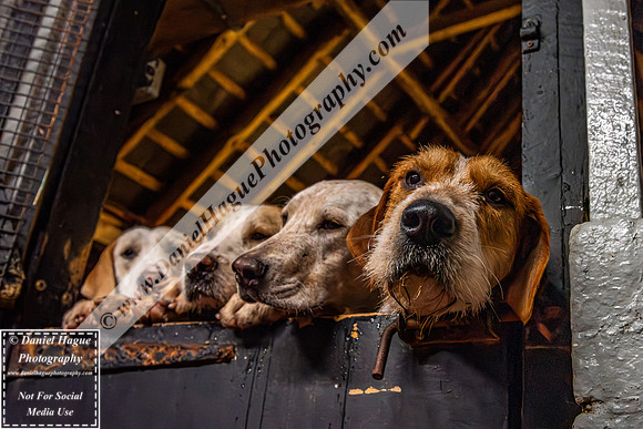 HH230124Kennels-008