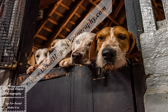 HH230124Kennels-009