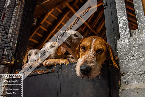HH230124Kennels-010
