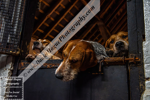 HH230124Kennels-012