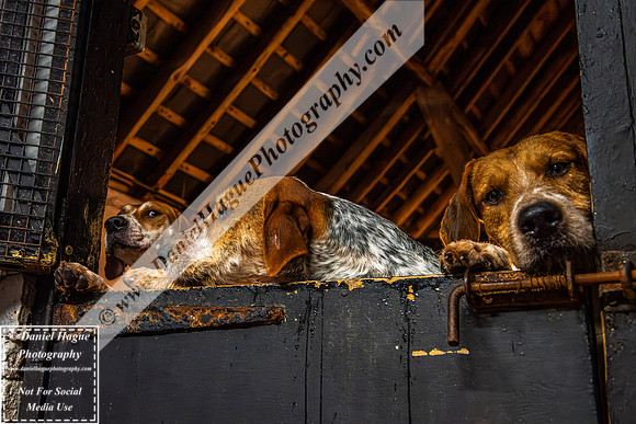 HH230124Kennels-013