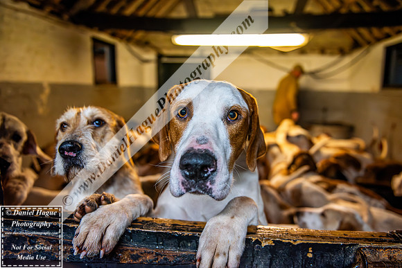 HH230124Kennels-017