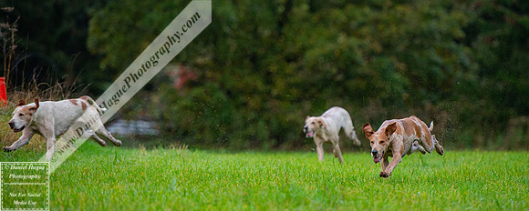 BH201024-005