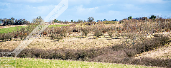 VWH050324-018