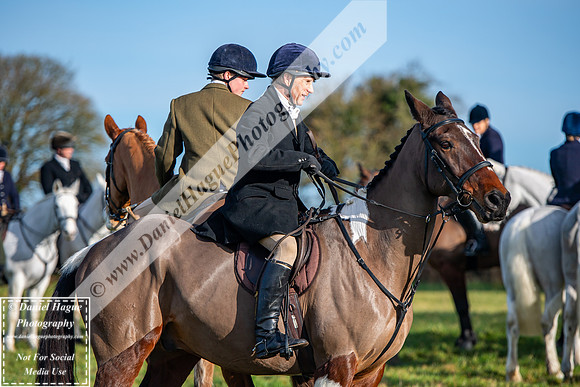 CattH250125-016