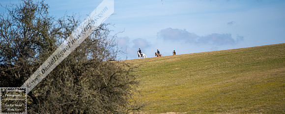 CottsH010325-006