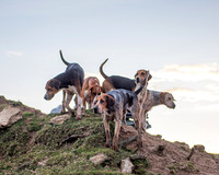 19/03/25 By Invitation Of The East Cornwall