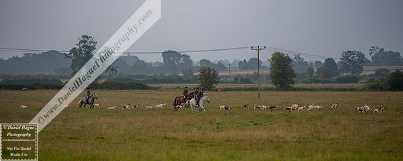 VWH310824-008